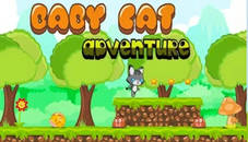 Baby Cat Adventure