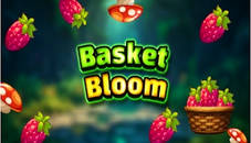 Basket Bloom