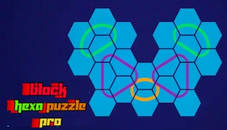 Block Hexa Puzzle Pro