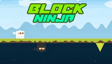 Block Ninja