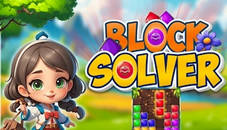 Block Solver