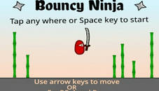 Bouncy Ninja