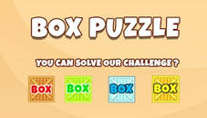 Box Puzzle