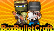 BoxBulletCraft