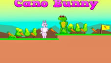 Cano Bunny