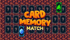 Card Memory Match