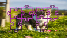 Cat Jigsaw Puzzle Frenzy