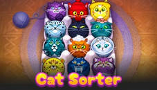 Cat Sorter Puzzle