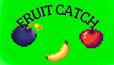 Catch the Fruits