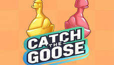 Catch The Goose
