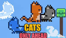 Cats Only Ahead