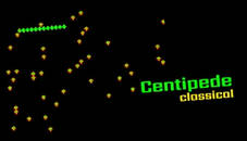 Centipede