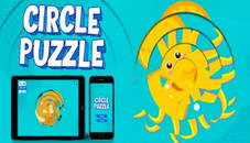 Circle Puzzle