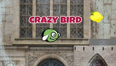 CrazyBirdCity