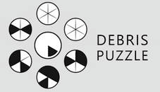 Debris Puzzle