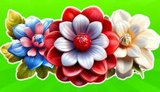 Dice Puzzles Flowers!