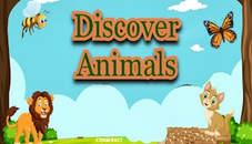 Discover Animals