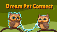 Dream Pet Connect