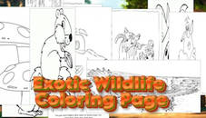 Exotic Wildlife Coloring Page