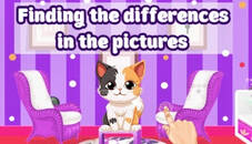 Finding the Differences in the Pictures