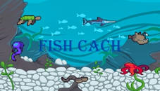 Fish Cach