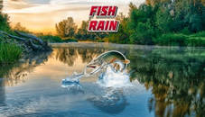 Fish Rain