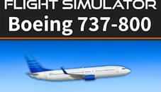 Flight Simulator 737-800