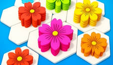 Flower Hexa Puzzle