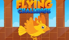 Flying Challenge