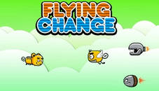 Flying Change