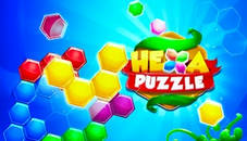 Hexa Puzzle