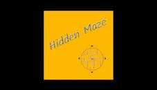 Hidden Maze