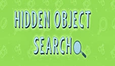 Hidden Object Search