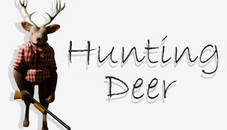 Hunting Deer