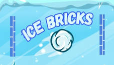 Ice Bricks