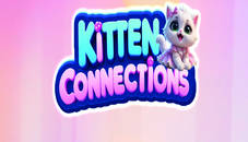 Kitten Connections