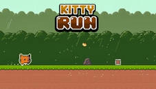 Kitty Run