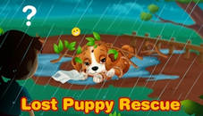 Lost Puppy Rescue and Care