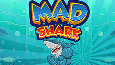 Mad Shark Fish