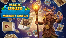 Magic Druid Memory Match
