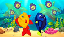 Marine Fish