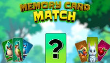 Memory Card Match