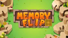 Memory Flip