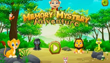 Memory Mystery Adventure