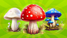 Merge Mushrooms 2048!