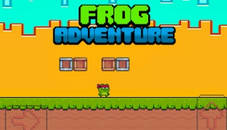 Ninja Frog Adventure