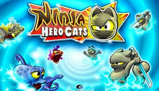 Ninja Hero Cats