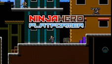 Ninja Hero Platformer