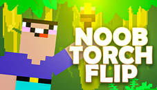 Noob Torch Flip 2D