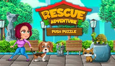 Push Puzzle Rescue Adventure